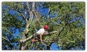 Reliable garden landscaping in San Marcos, TX - Groovy Tree Service