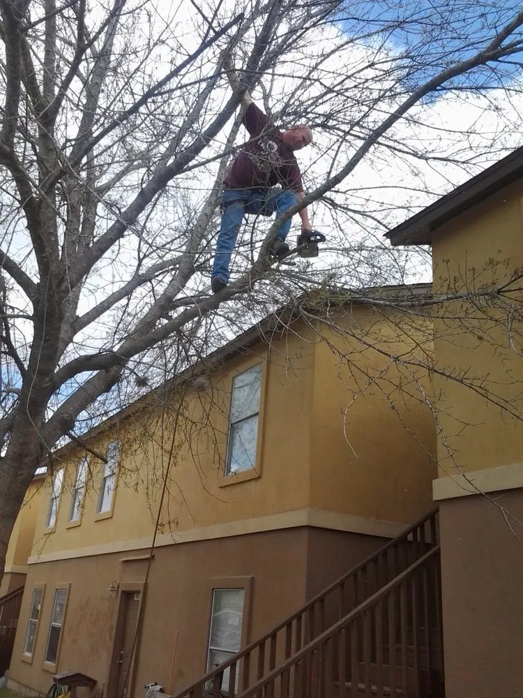 Custom yard cleanup service with custom design across San Marcos, TX - Groovy Tree Service