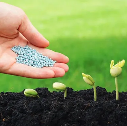 Local landscape installation experts serving Beaverton, OR - GroPro Landscaping Services