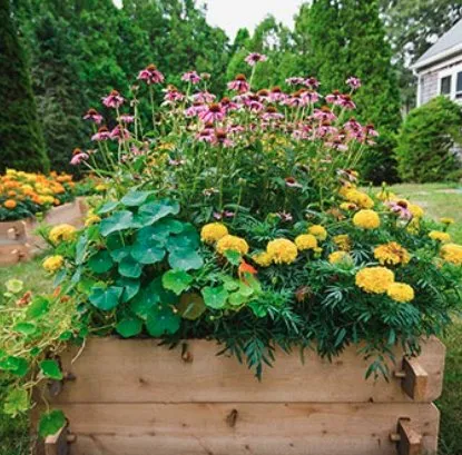 Trusted lawn mowing service in Beaverton, OR - GroPro Landscaping Services