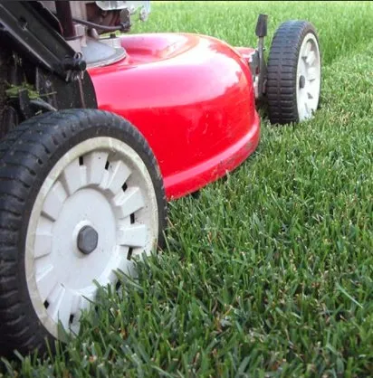 Professional landscape installation for residential properties in Beaverton, OR by GroPro Landscaping Services