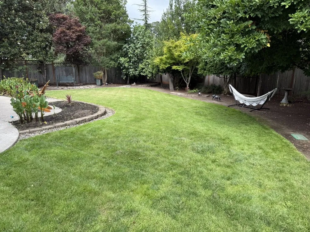 Local yard cleanup service in Beaverton, OR - GroPro Landscaping Services