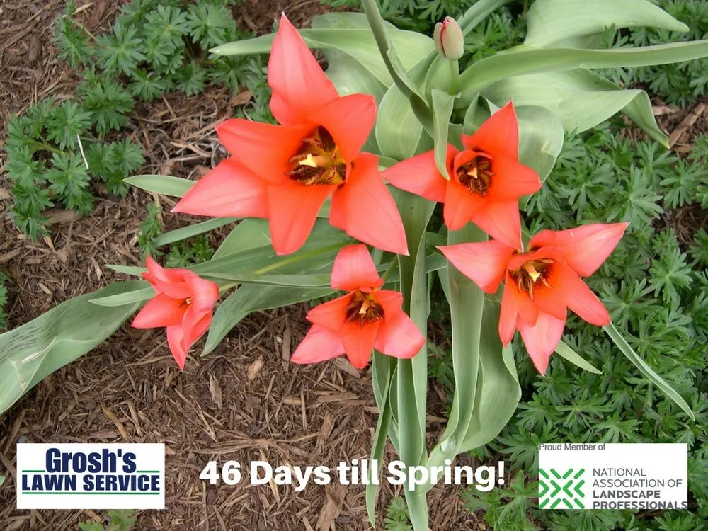 Trusted landscape design experts serving Clear Spring, MD - Grosh's Lawn Service