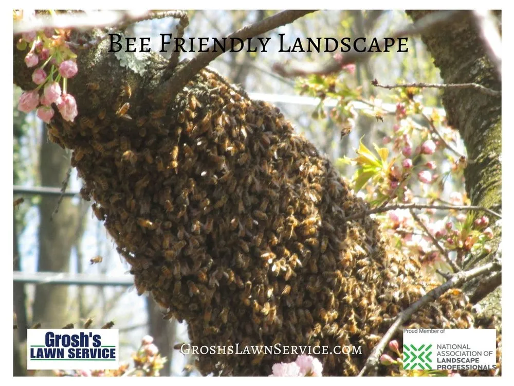 Affordable outdoor landscaping in Clear Spring, MD by Grosh's Lawn Service