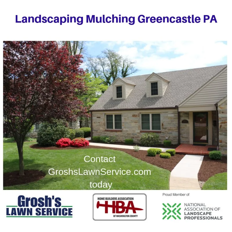 Expert lawn care service experts serving Clear Spring, MD - Grosh's Lawn Service