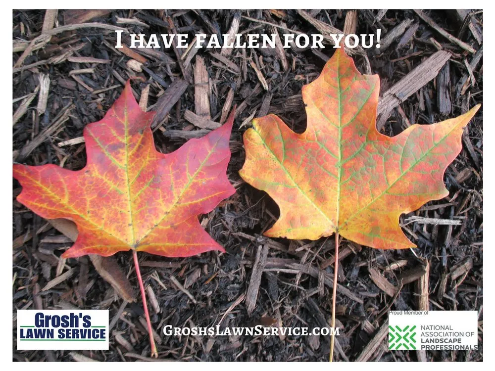 Reliable garden landscaping experts serving Clear Spring, MD - Grosh's Lawn Service