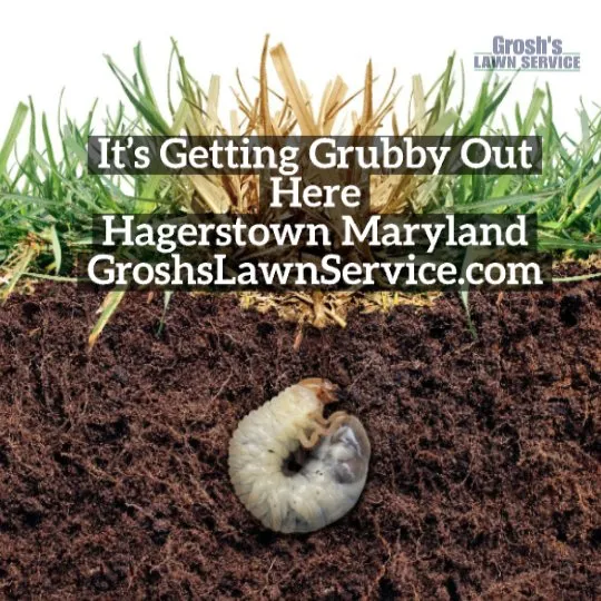 Reliable landscape design in Clear Spring, MD by Grosh's Lawn Service