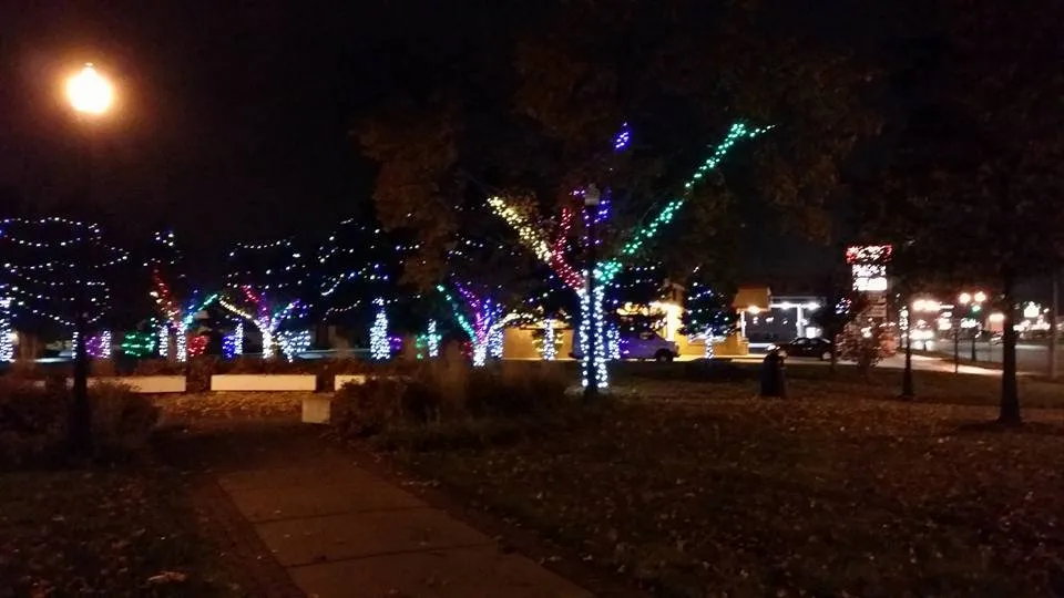 Top-rated outdoor landscaping in Wyandotte, MI by Grosse Ile Lawn Sprinkler & Fertilizing