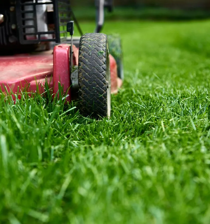 Professional garden landscaping in Weed, CA by Grossman Landscaping