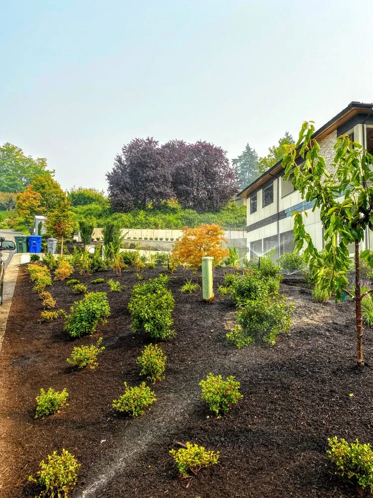 Custom lawn mowing service in Kirkland, WA - Grotes Garden Design