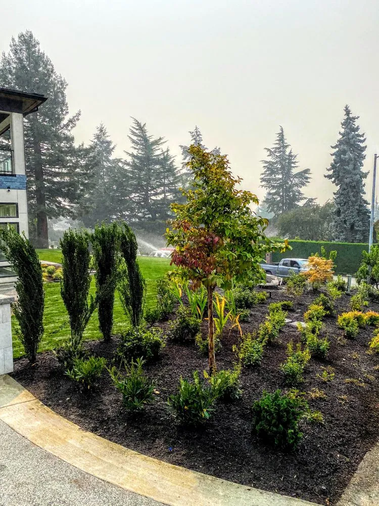 Local yard cleanup service for year-round maintenance across Kirkland, WA - Grotes Garden Design