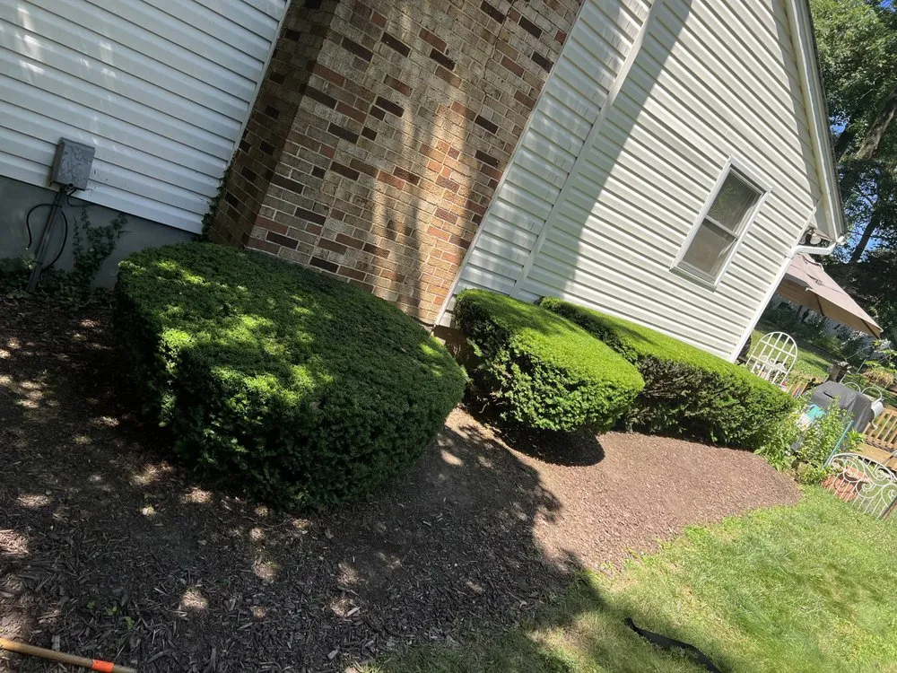 Top-rated lawn care service in Prince Frederick, MD by Grotto Landscaping