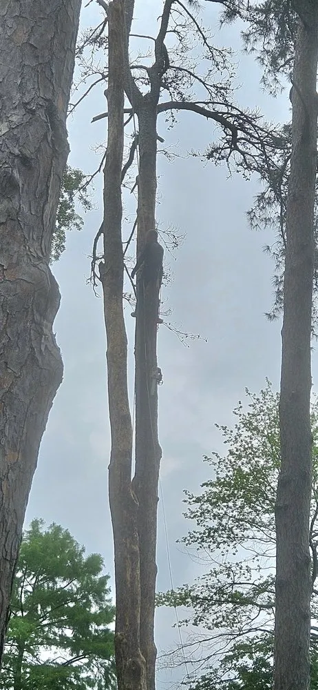 Trusted garden landscaping for homes across Longview, TX - Ground 2 Crown