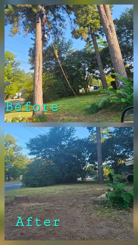 Expert yard maintenance in Longview, TX by Ground 2 Crown