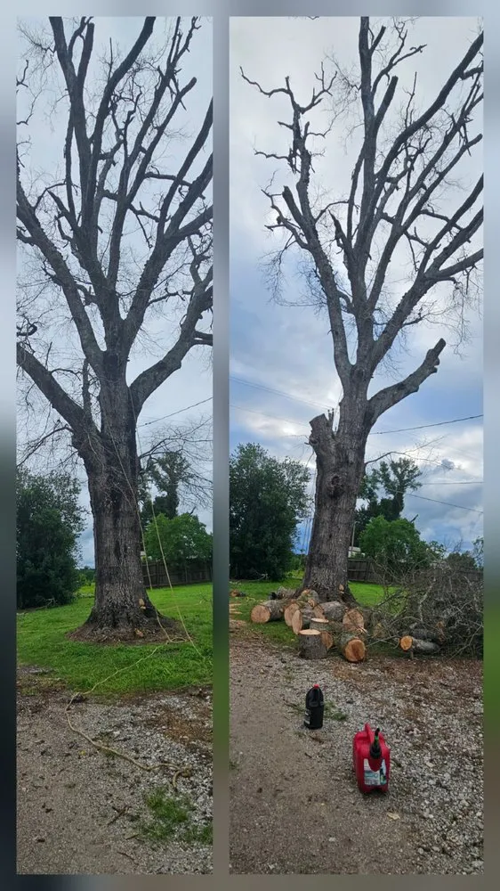 Top-rated yard cleanup service for year-round maintenance in Longview, TX by Ground 2 Crown