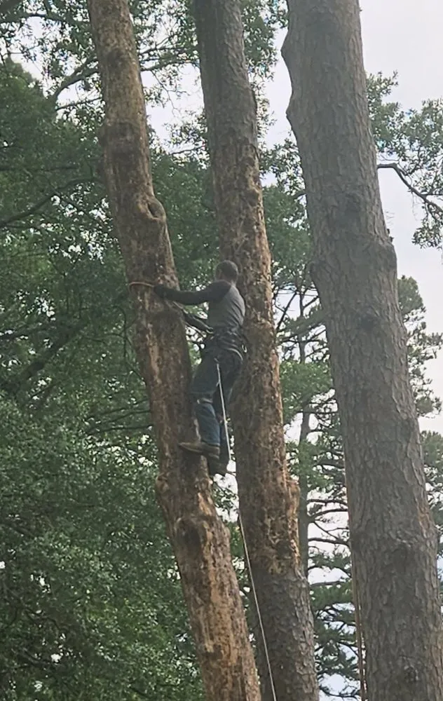 Custom yard maintenance in Longview, TX - Ground 2 Crown