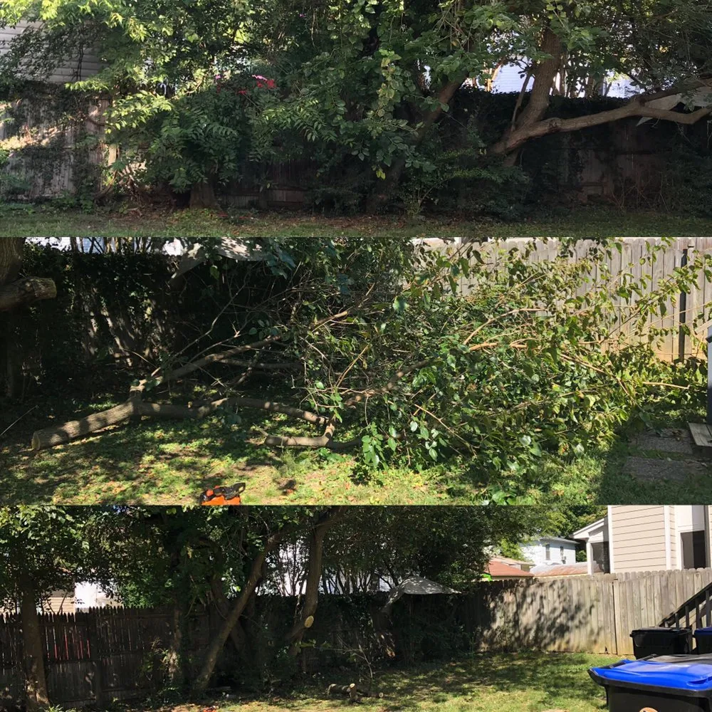 Expert yard cleanup service for beautiful yards across Fredericksburg, VA - Ground Affects Services