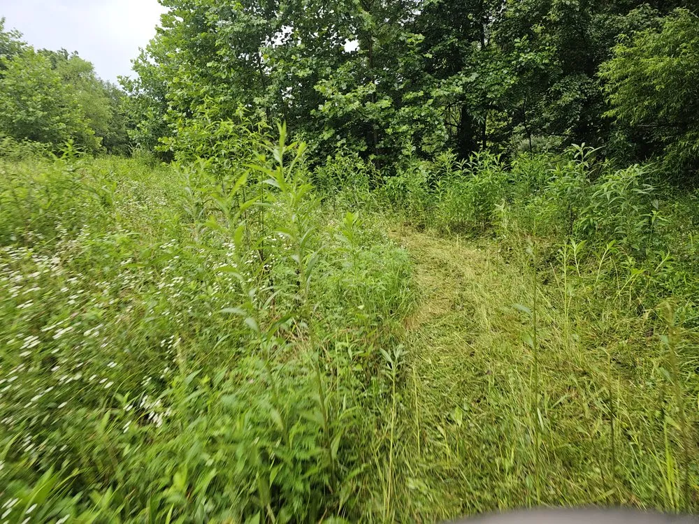 Professional lawn care service in Terre Haute, IN - Ground Assault