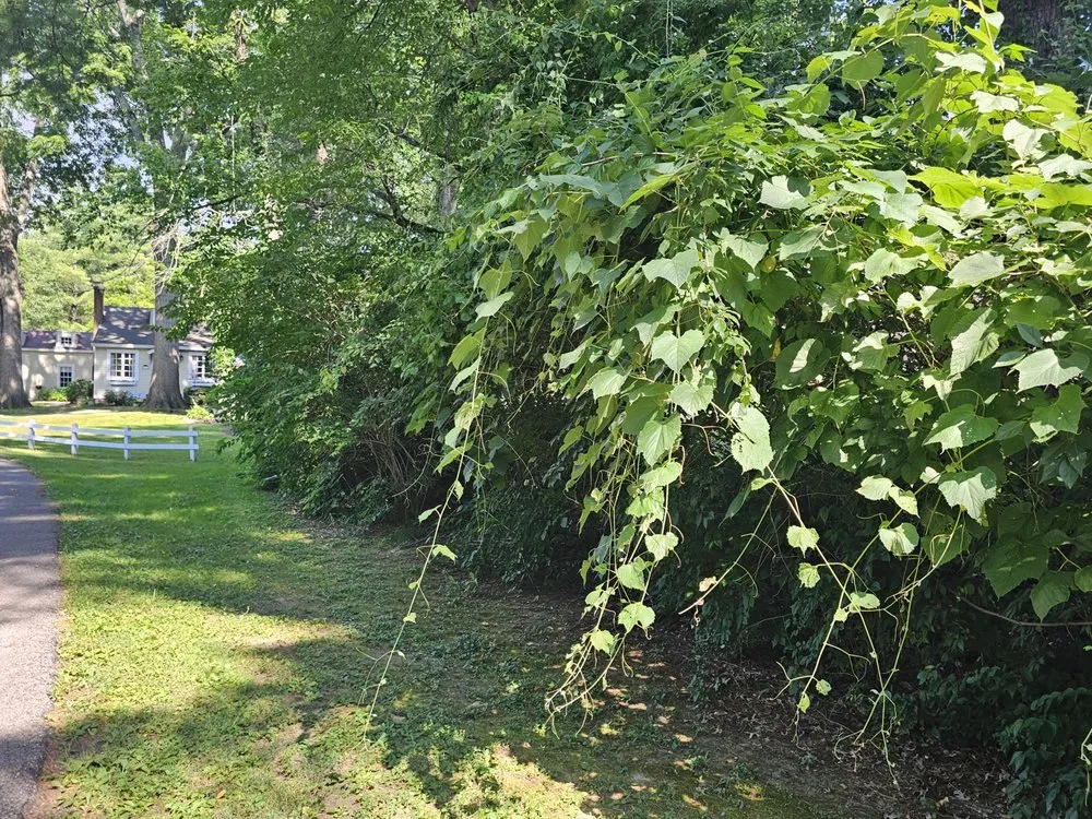 Top-rated landscaping services experts serving Terre Haute, IN - Ground Assault