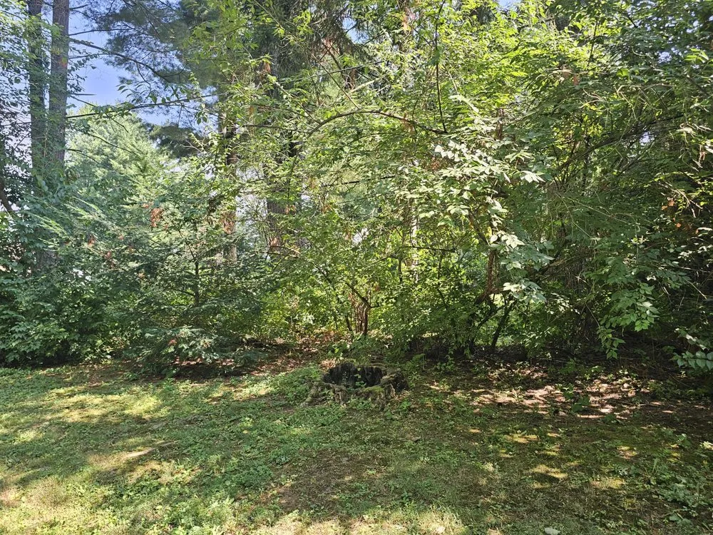 Trusted yard cleanup service in Terre Haute, IN - Ground Assault