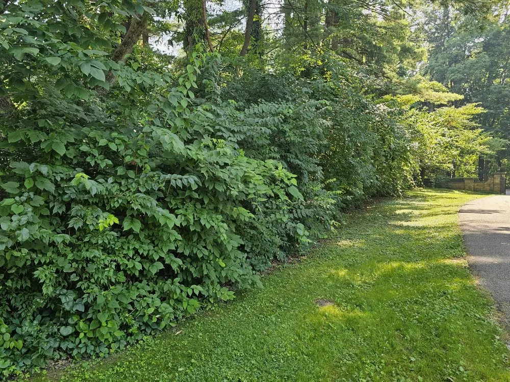 Professional yard maintenance for year-round maintenance in Terre Haute, IN by Ground Assault