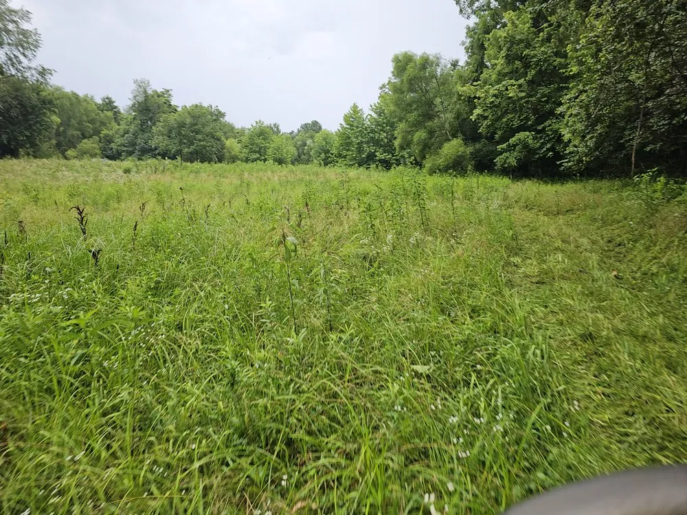 Reliable residential landscaping in Terre Haute, IN by Ground Assault