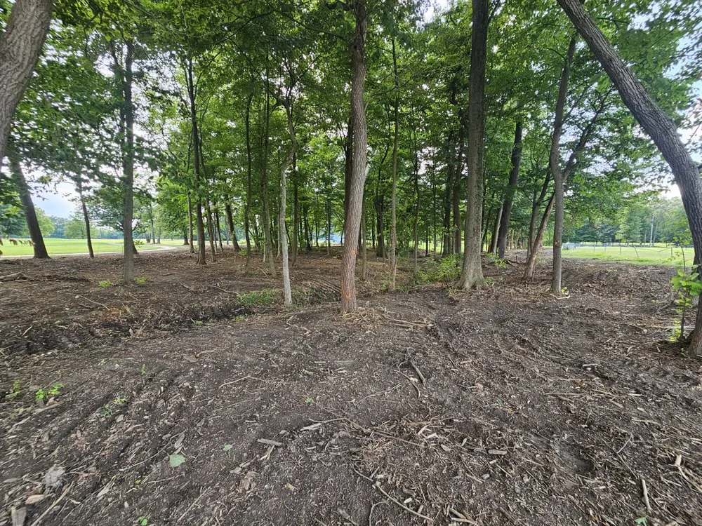 Top-rated residential landscaping in Terre Haute, IN by Ground Assault