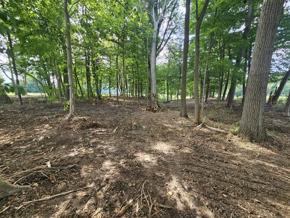 Expert landscaping services near you in Terre Haute, IN by Ground Assault