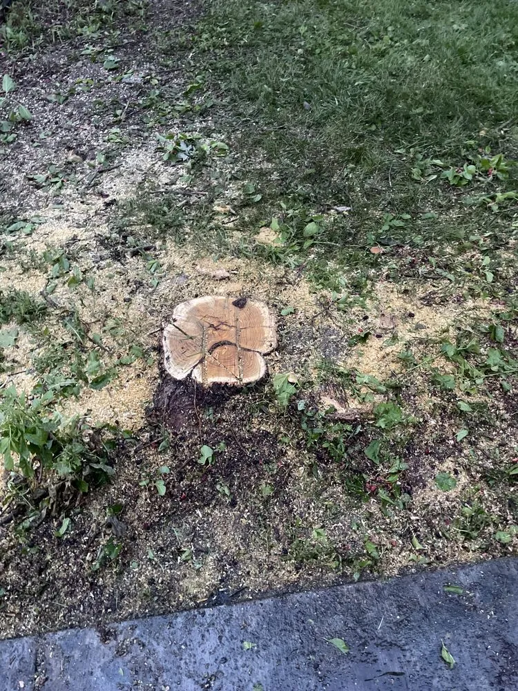 Affordable yard maintenance experts serving New Baltimore, MI - Ground Brothers Lawn & Tree Removal