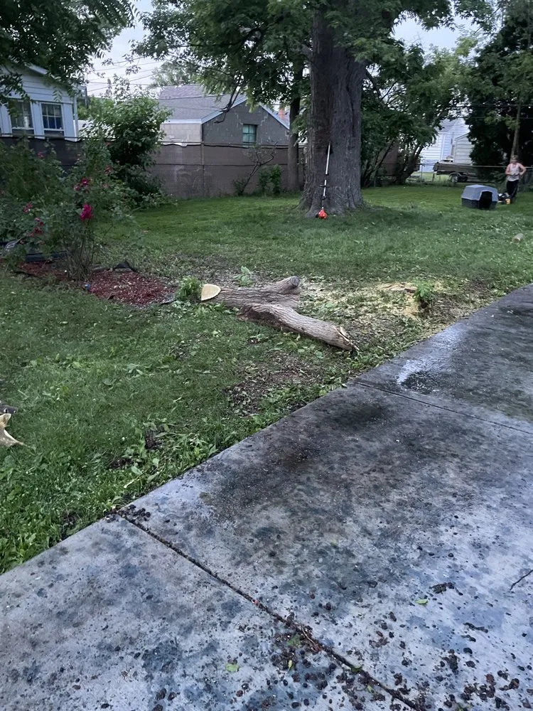 Trusted yard maintenance in New Baltimore, MI - Ground Brothers Lawn & Tree Removal