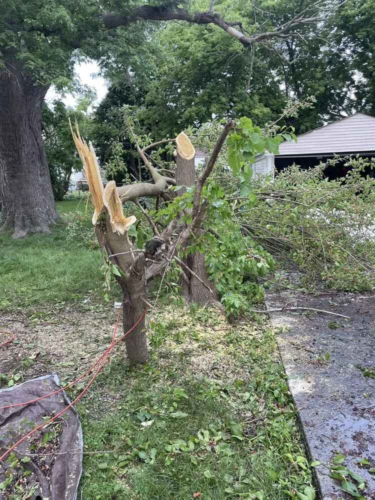 Local landscape installation in New Baltimore, MI - Ground Brothers Lawn & Tree Removal