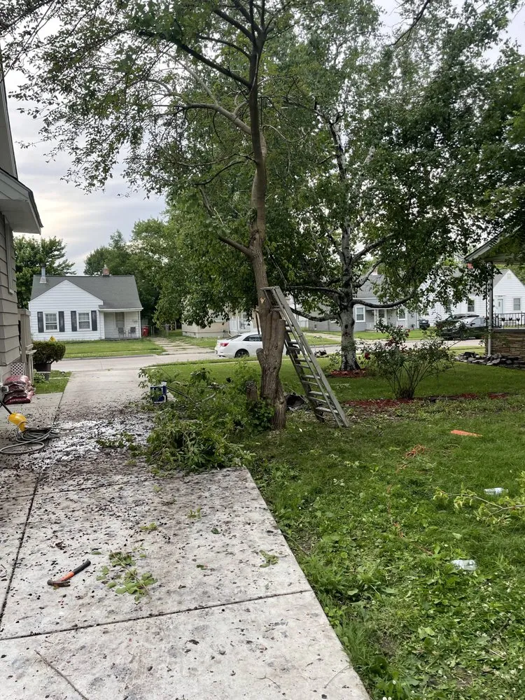 Custom residential landscaping for year-round maintenance across New Baltimore, MI - Ground Brothers Lawn & Tree Removal