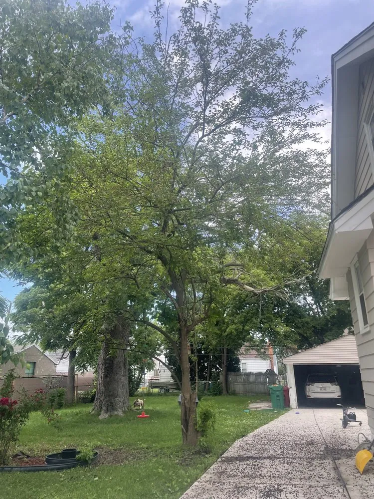 Reliable landscape installation experts serving New Baltimore, MI - Ground Brothers Lawn & Tree Removal