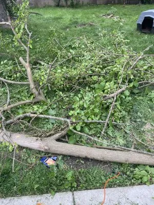 Ground Brothers Lawn & Tree Removal