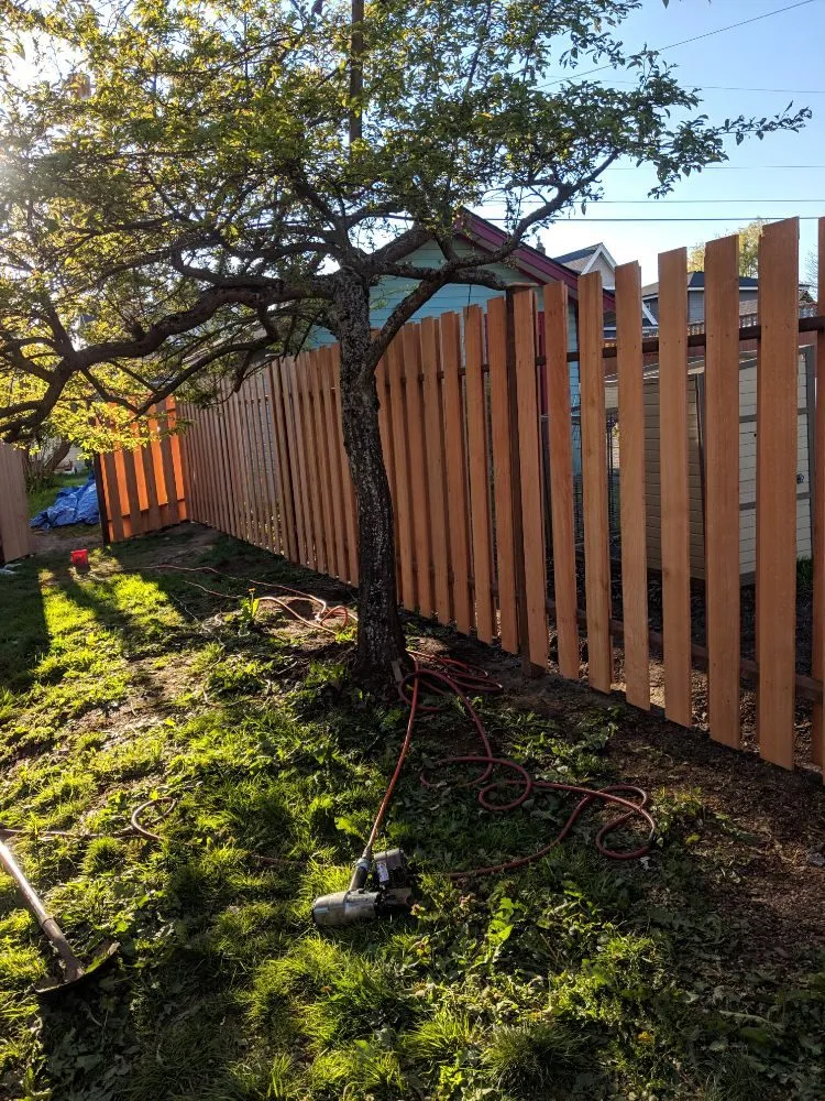 Local yard cleanup service for beautiful yards across Bellingham, WA - Ground Busters