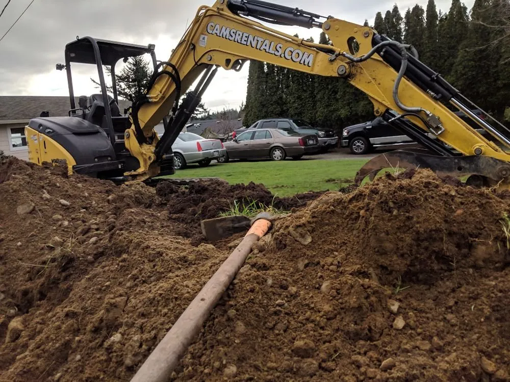 Custom yard cleanup service experts serving Bellingham, WA - Ground Busters