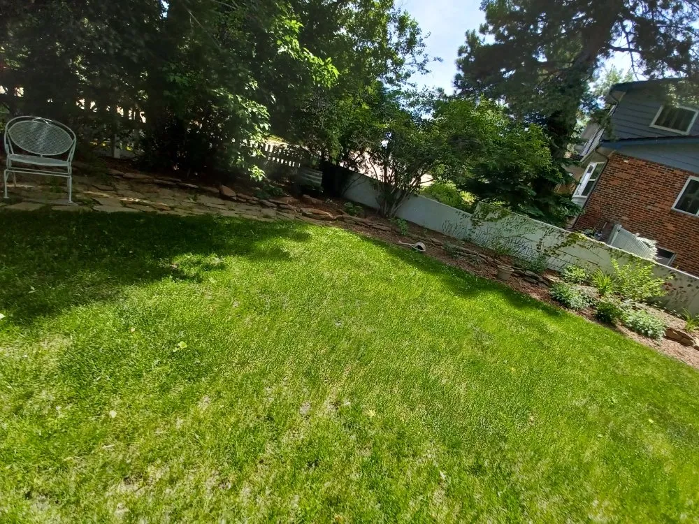 Reliable lawn care service experts serving Littleton, CO - Ground Control Gardens