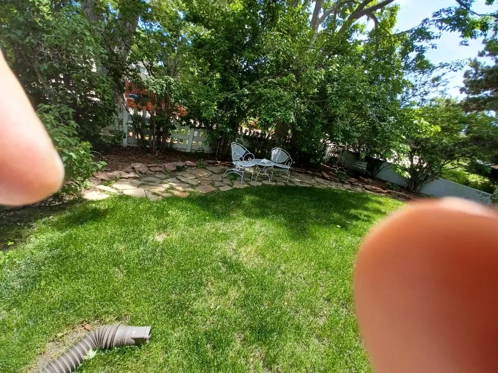 Trusted yard cleanup service experts serving Littleton, CO - Ground Control Gardens