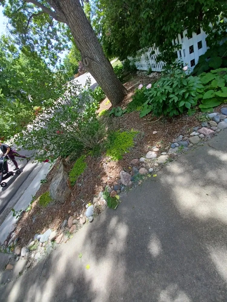 Reliable lawn care service for residential properties across Littleton, CO - Ground Control Gardens