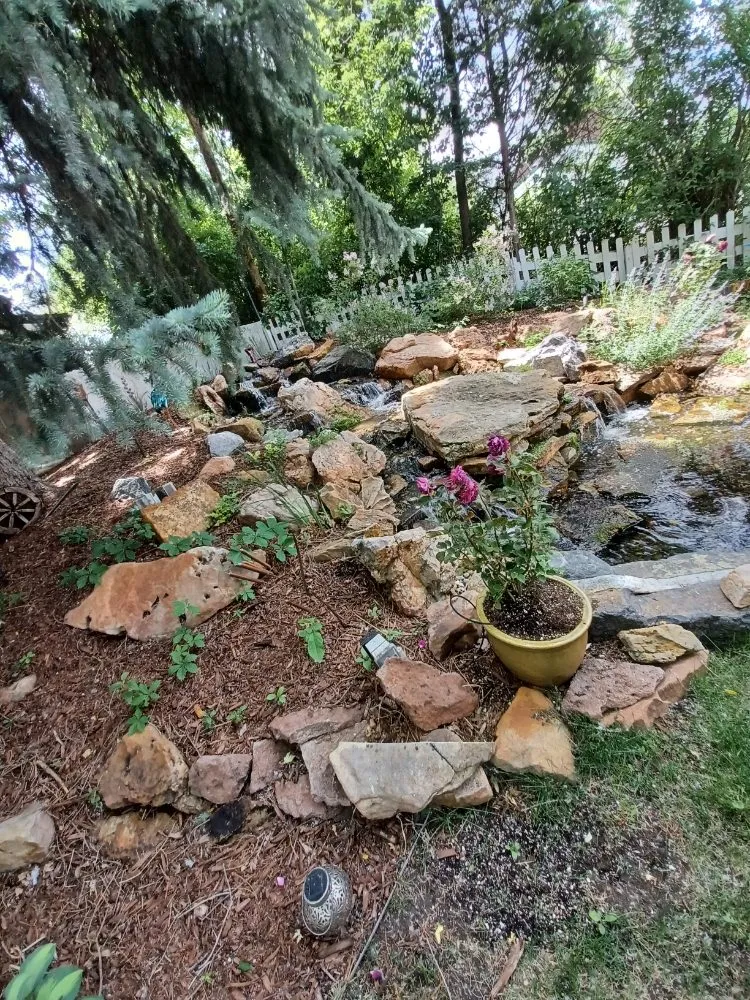 Reliable landscape design for year-round maintenance in Littleton, CO by Ground Control Gardens