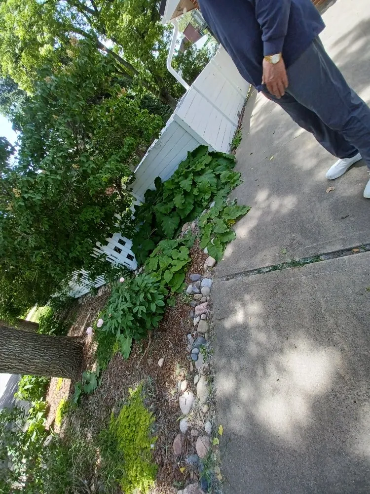 Professional garden landscaping in Littleton, CO - Ground Control Gardens