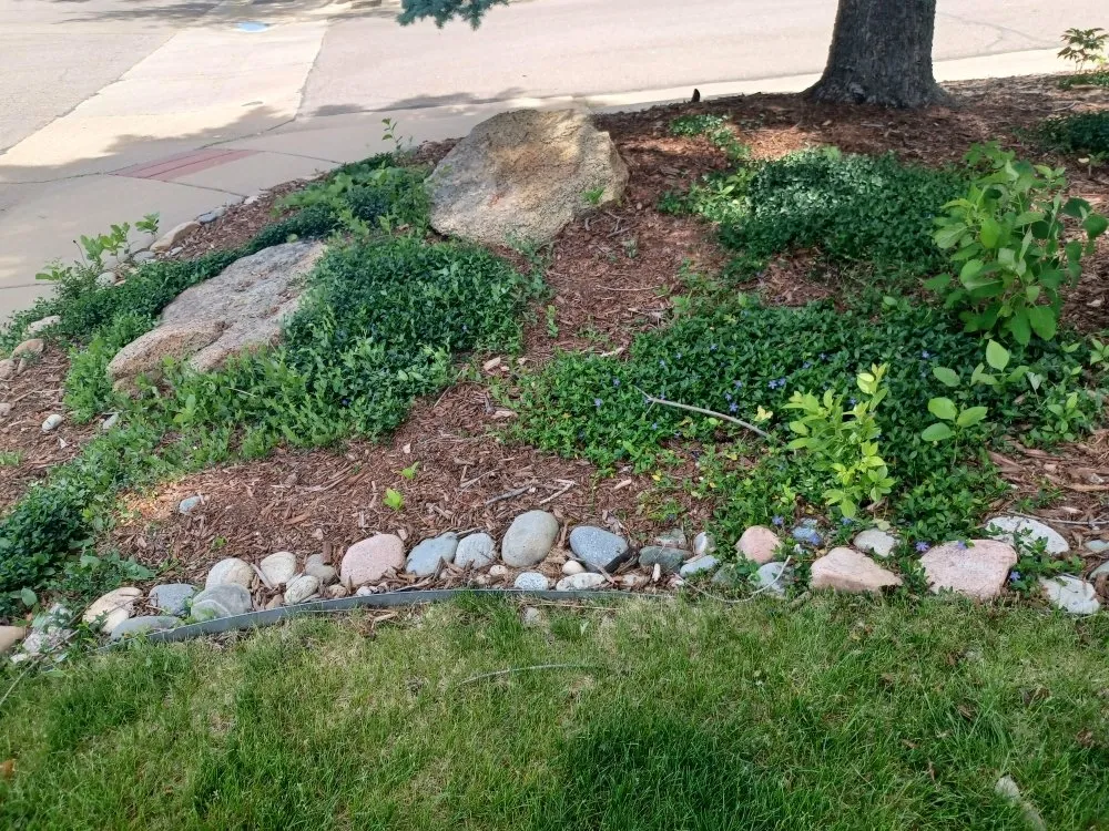 Affordable lawn mowing service experts serving Littleton, CO - Ground Control Gardens