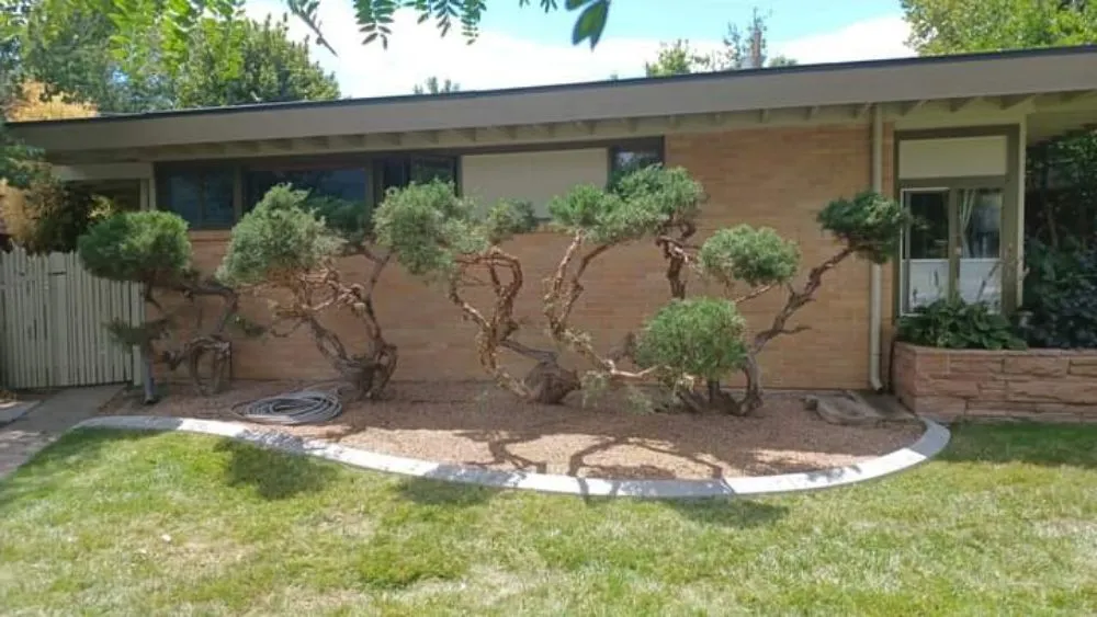 Top-rated yard maintenance in Littleton, CO by Ground Control Gardens