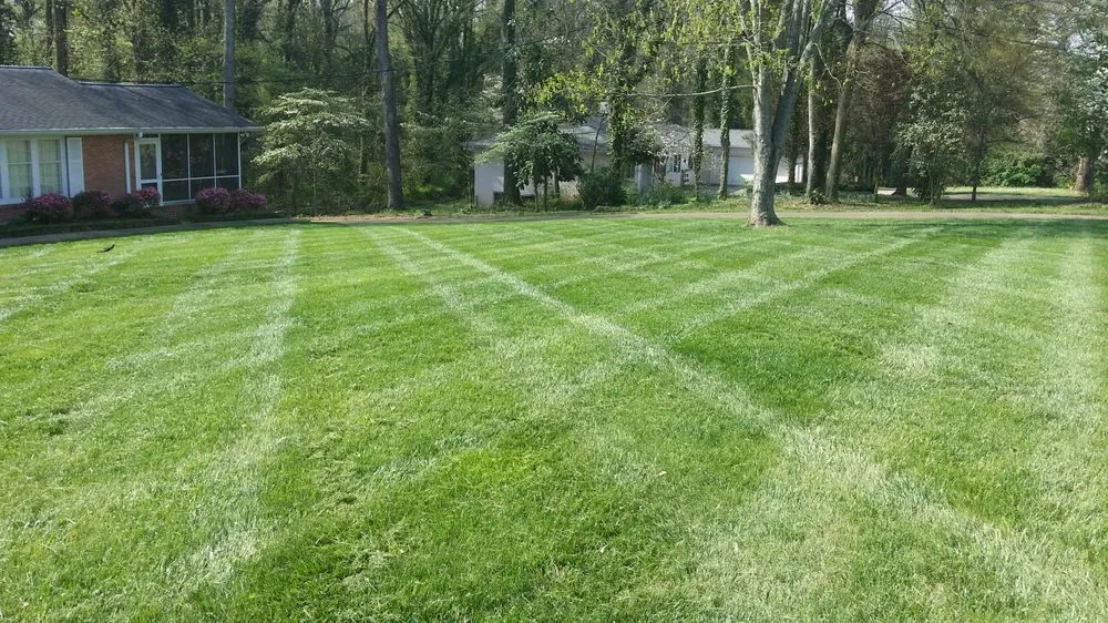 Expert yard maintenance in Shelby, NC by Ground Control Landscape Management
