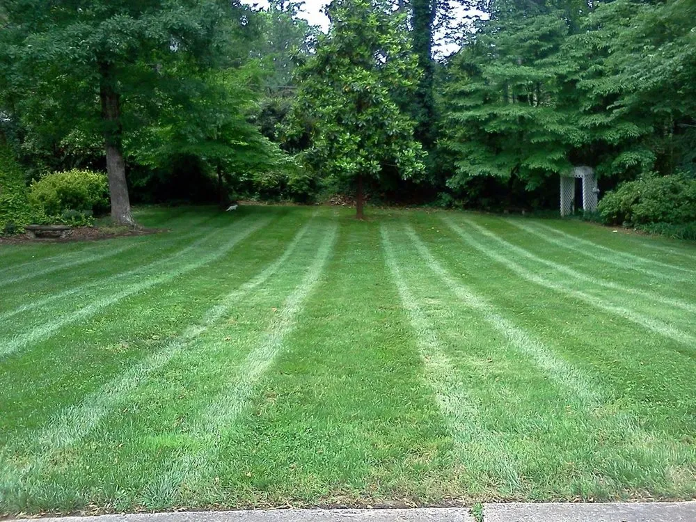Local lawn care service experts serving Shelby, NC - Ground Control Landscape Management