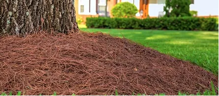 Affordable landscaping services experts serving Shelby, NC - Ground Control Landscape Management