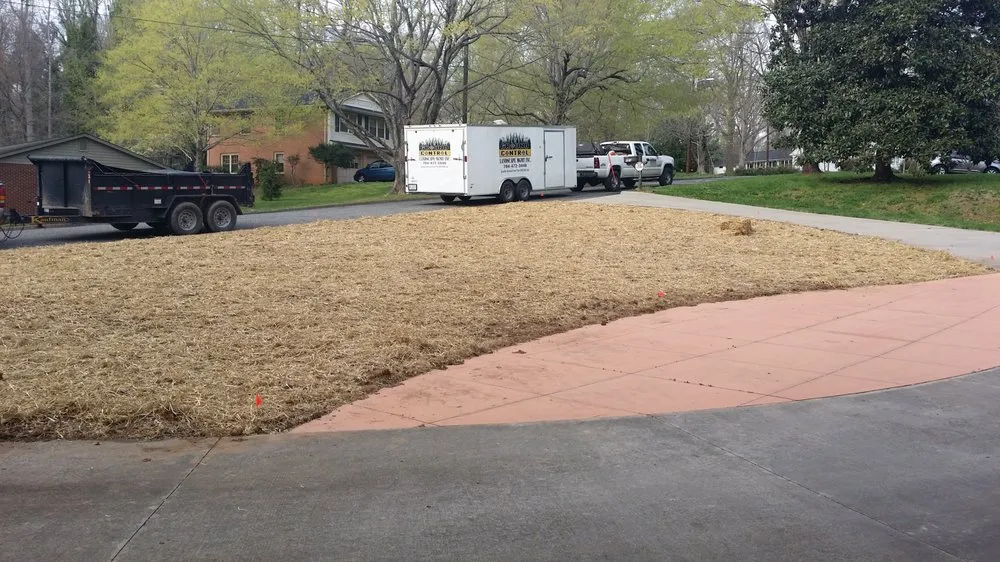 Affordable yard cleanup service in Shelby, NC by Ground Control Landscape Management
