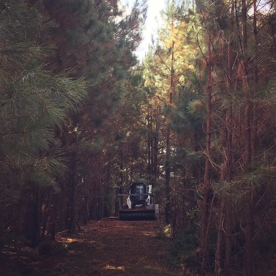 Top-rated landscape installation for residential properties across Covington, GA - Ground Control Landscaping