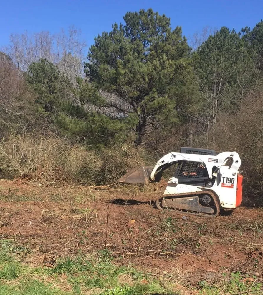 Top-rated outdoor landscaping in Covington, GA by Ground Control Landscaping