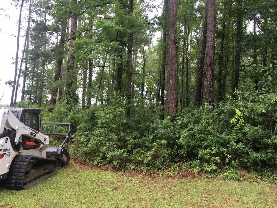 Professional landscape installation for outdoor upgrades across Covington, GA - Ground Control Landscaping